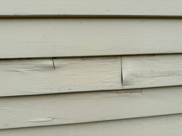 Best Engineered Wood Siding  in Anderson Island, WA